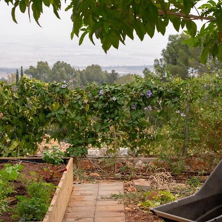 הבית של סתיו Rosh Pinna Exterior foto