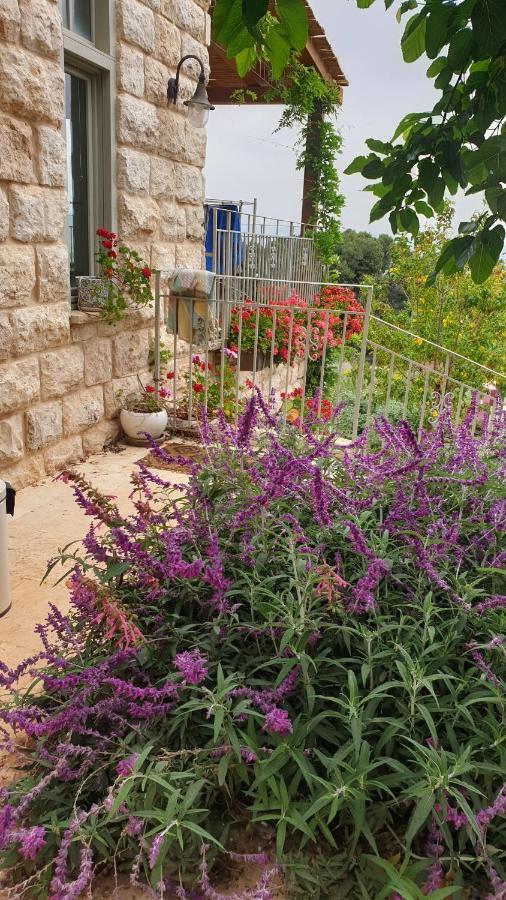 הבית של סתיו Rosh Pinna Exterior foto