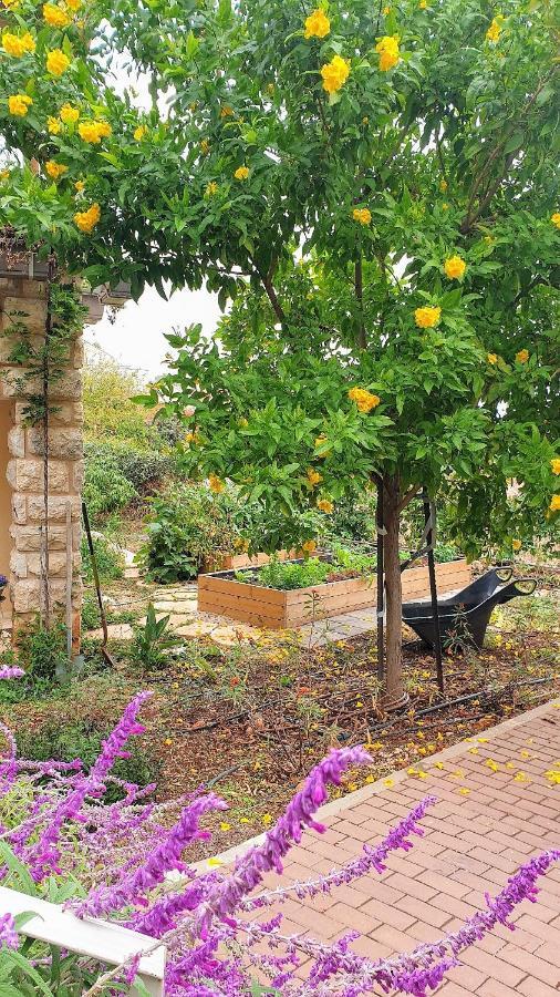 הבית של סתיו Rosh Pinna Exterior foto
