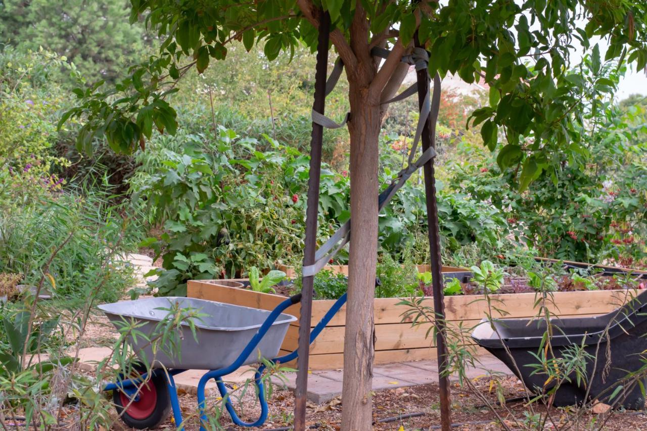 הבית של סתיו Rosh Pinna Exterior foto