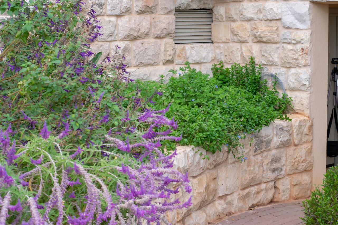 הבית של סתיו Rosh Pinna Exterior foto