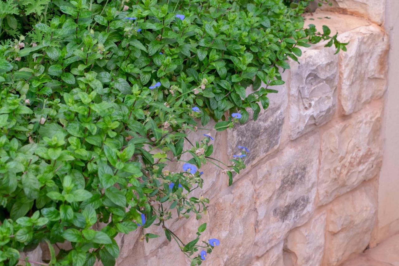 הבית של סתיו Rosh Pinna Exterior foto