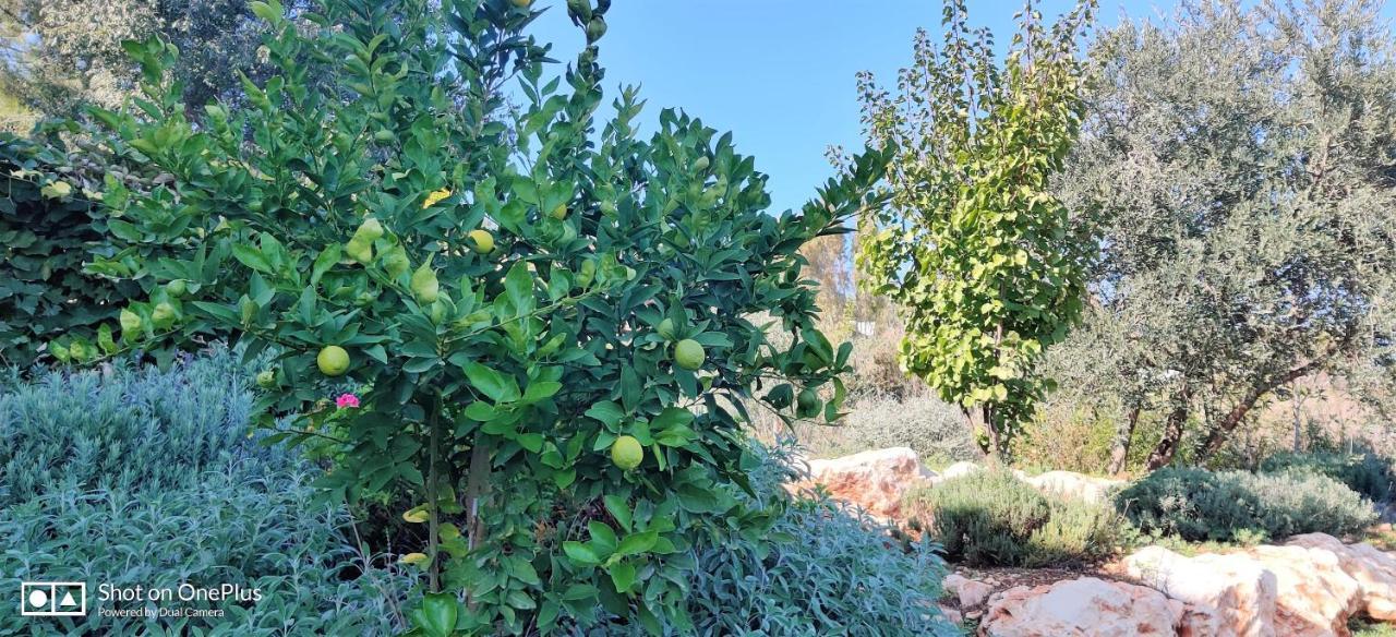 הבית של סתיו Rosh Pinna Exterior foto
